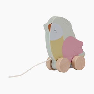 Pull Along Bird