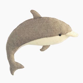 Mini Dolphin