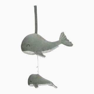Music Box Whale - Ocean